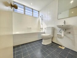 Dunearn Road (D11), Condominium #456269601